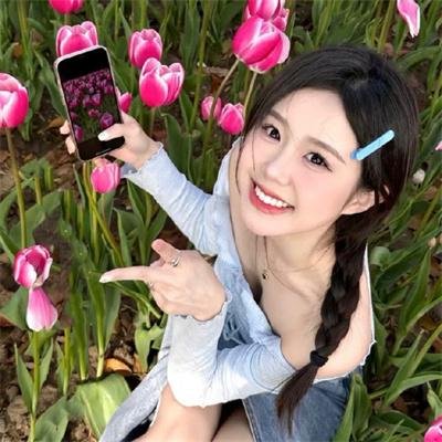 圣诞佳丽