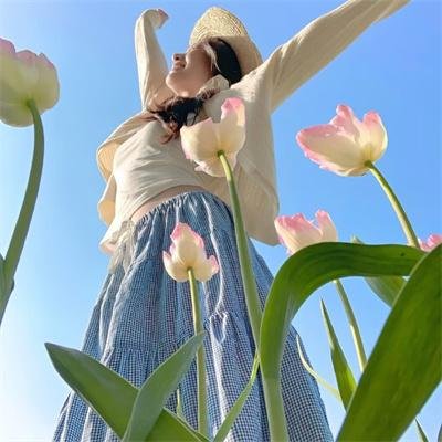情陷亚维农